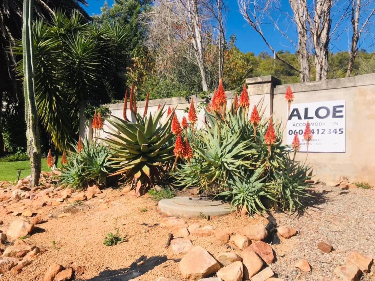 Aloe Guesthouse Klerksdorp Zewnętrze zdjęcie