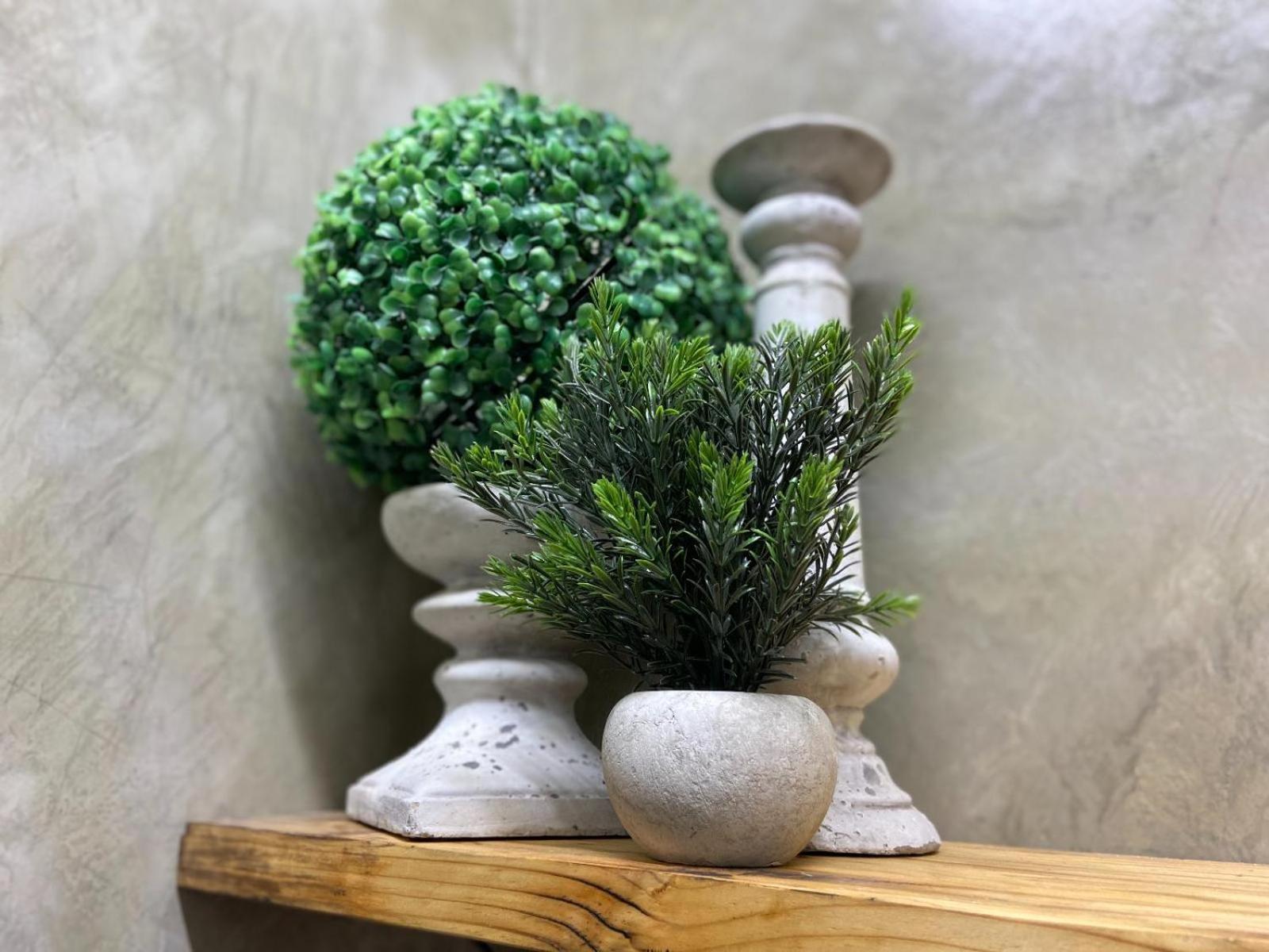Aloe Guesthouse Klerksdorp Pokój zdjęcie